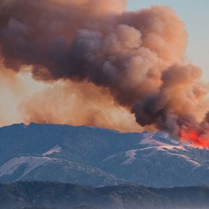 California Wildfire Burning Forest 
