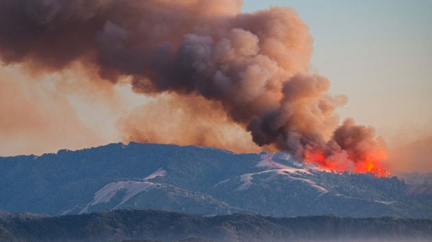 California Wildfire Burning Forest 