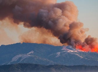 California Wildfire Burning Forest 