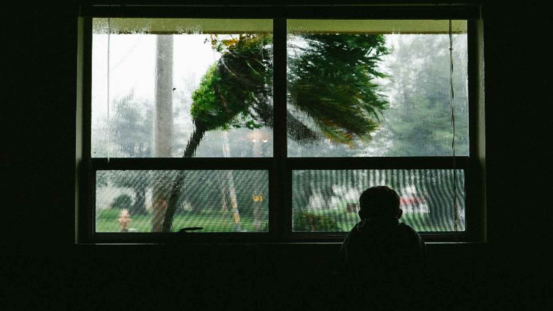 South Korea Typhoon Child Looking Out Window 