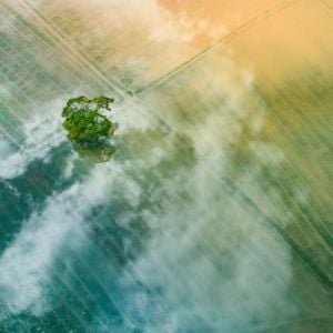 Gettyimages 1430300354 