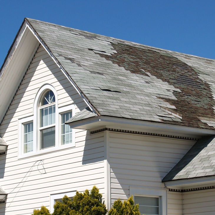 Damaged Roof Shingles