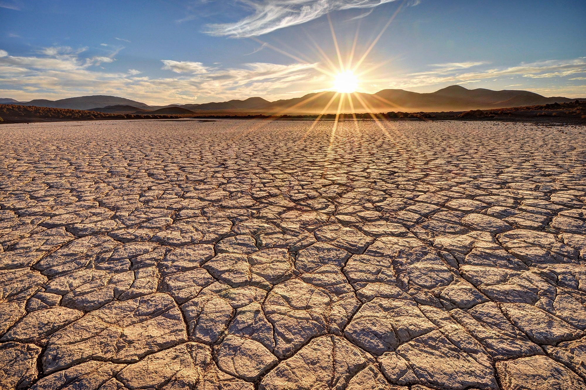 Landscape Affected By Drought 