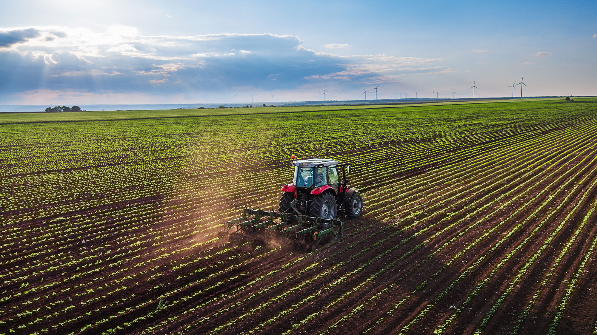 Farmland Horizon With Harvester 