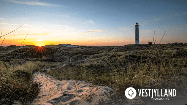 Announcing A New Partnership With Vestjylland Small 