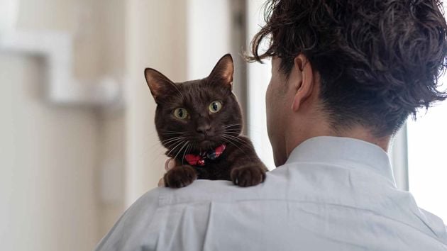 Gettyimages 1135485301 Web 