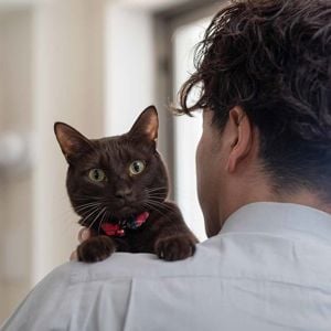 Gettyimages 1135485301 Web 