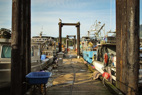 bannon-morrissy-1437656-unsplash