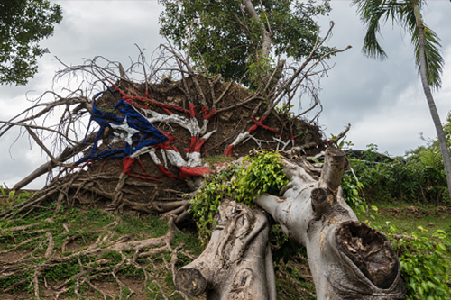 ca18072_image_Visualize_500x333_vB1