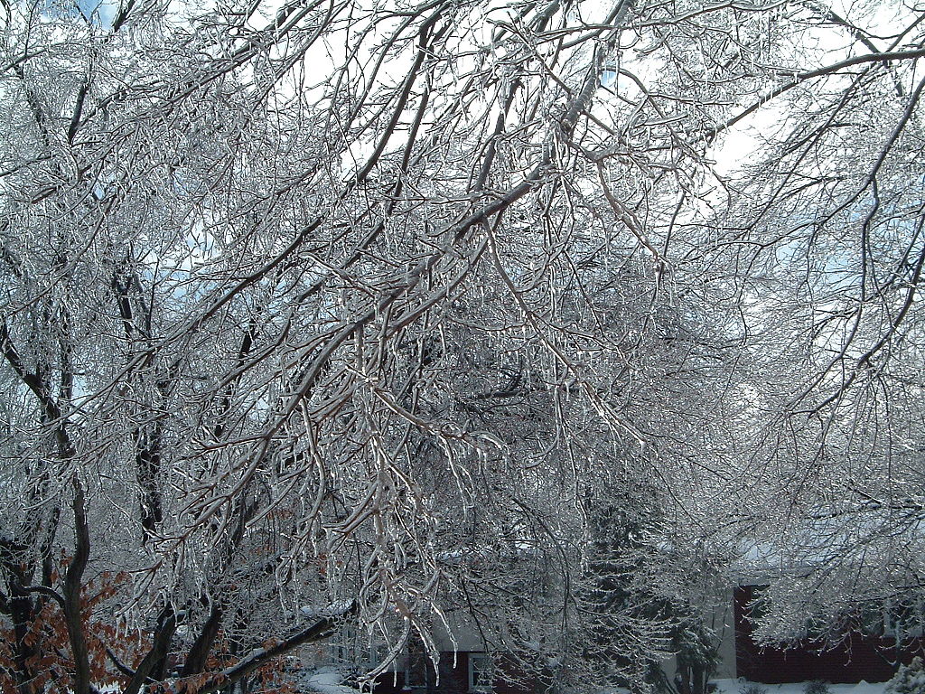 PCS winter forecast