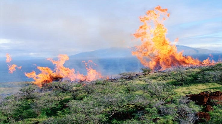 Fields On Fire Teaser 