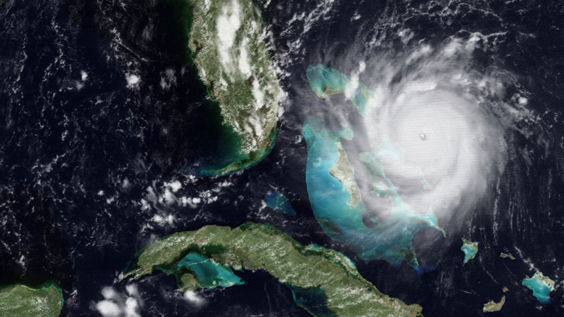 Hurricane from space