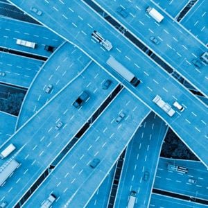 Getty Image Pilotbird Pr 