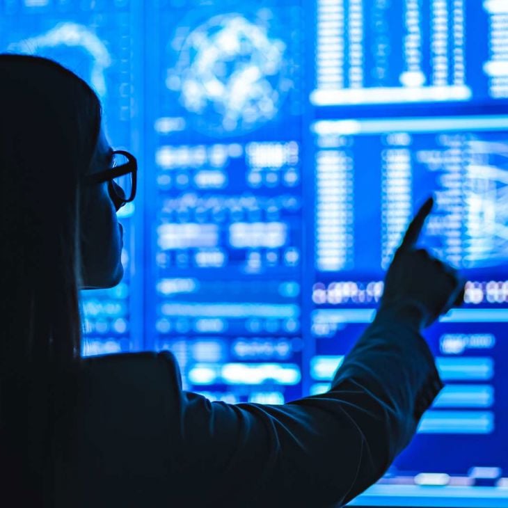 Woman Analyzing Data Board