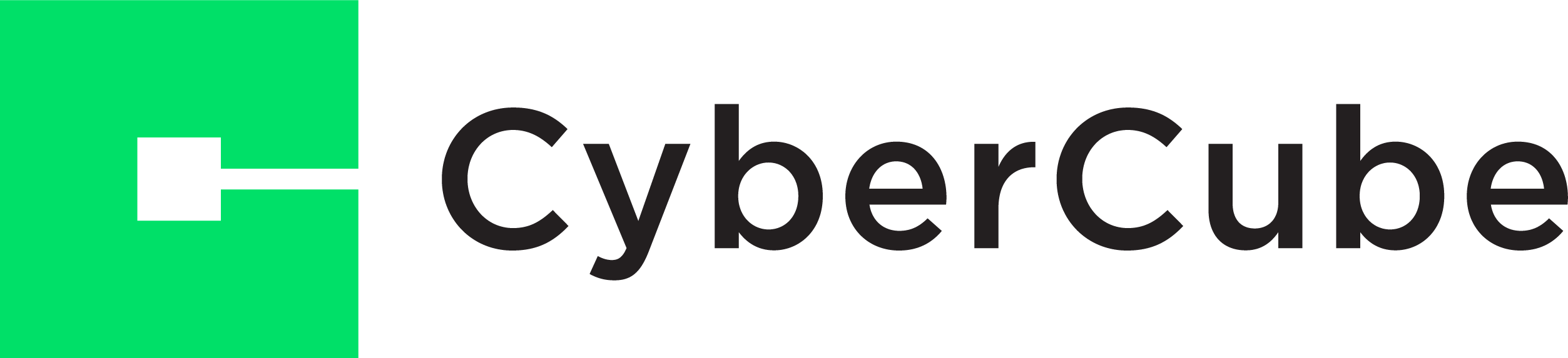 Cyber Cube 