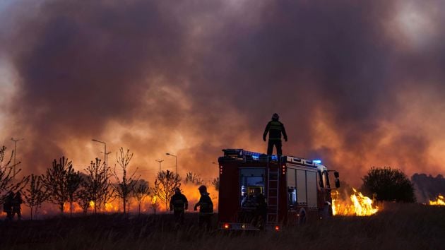Claimsearch Firefighters 