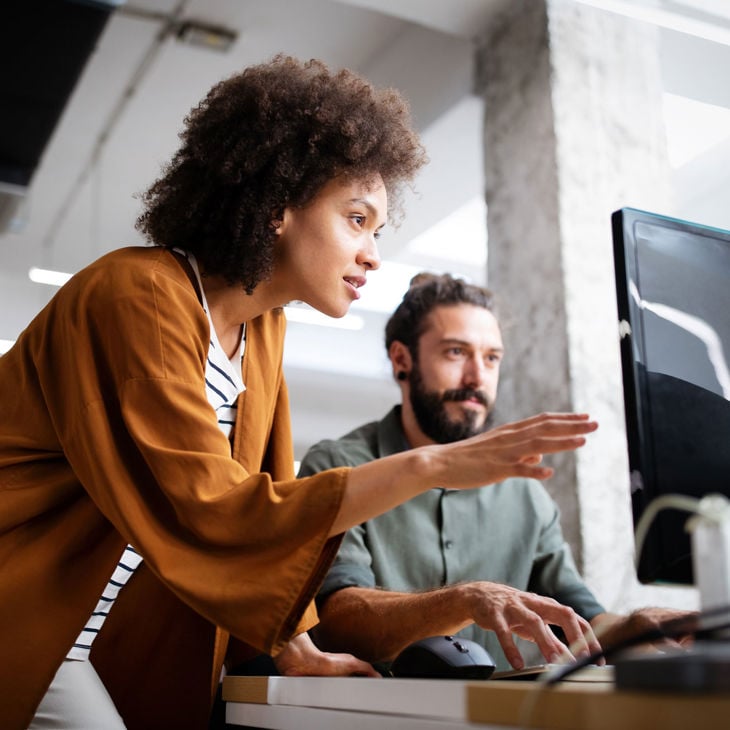 Two Colleagues Reviewing Screen At Desk 