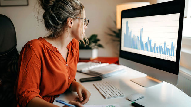 Woman Reviewing Data On Computer Screen 
