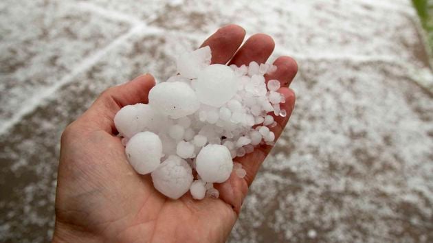 Person Holding Hail 