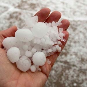 Person Holding Hail 