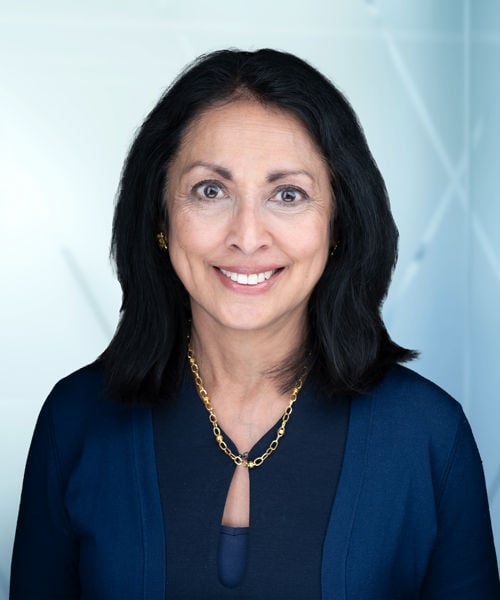 Sunita Holzer 2024 Branded Background