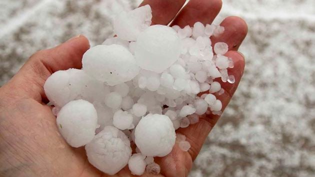 Person Holding Hail 
