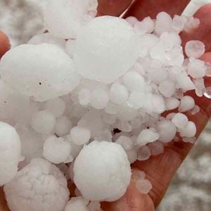 Person Holding Hail 