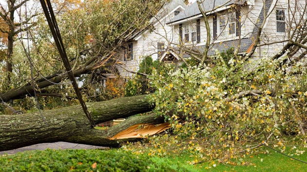 Downed Trees On Houses After Storm 