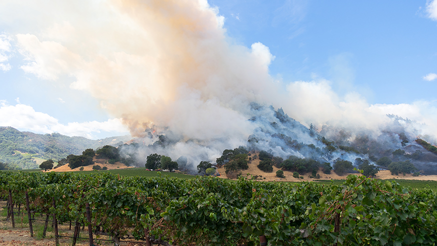 wildfires-and-wineries