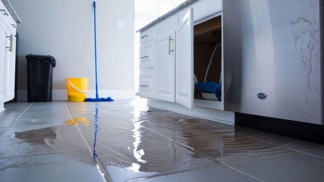Water Leak On Kitchen Floor 