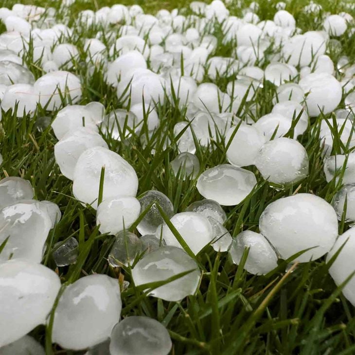 Macro View Of Hailstones Melting In Lawn After Thunderstorm 