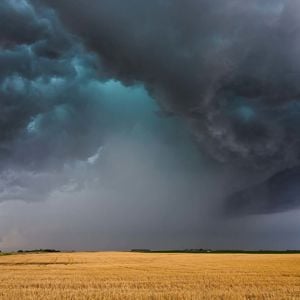 Thunder Storm Field 