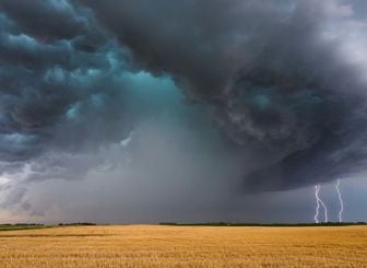 Thunder Storm Field 