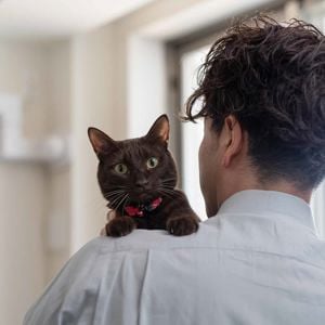 Gettyimages 1135485301 Web 