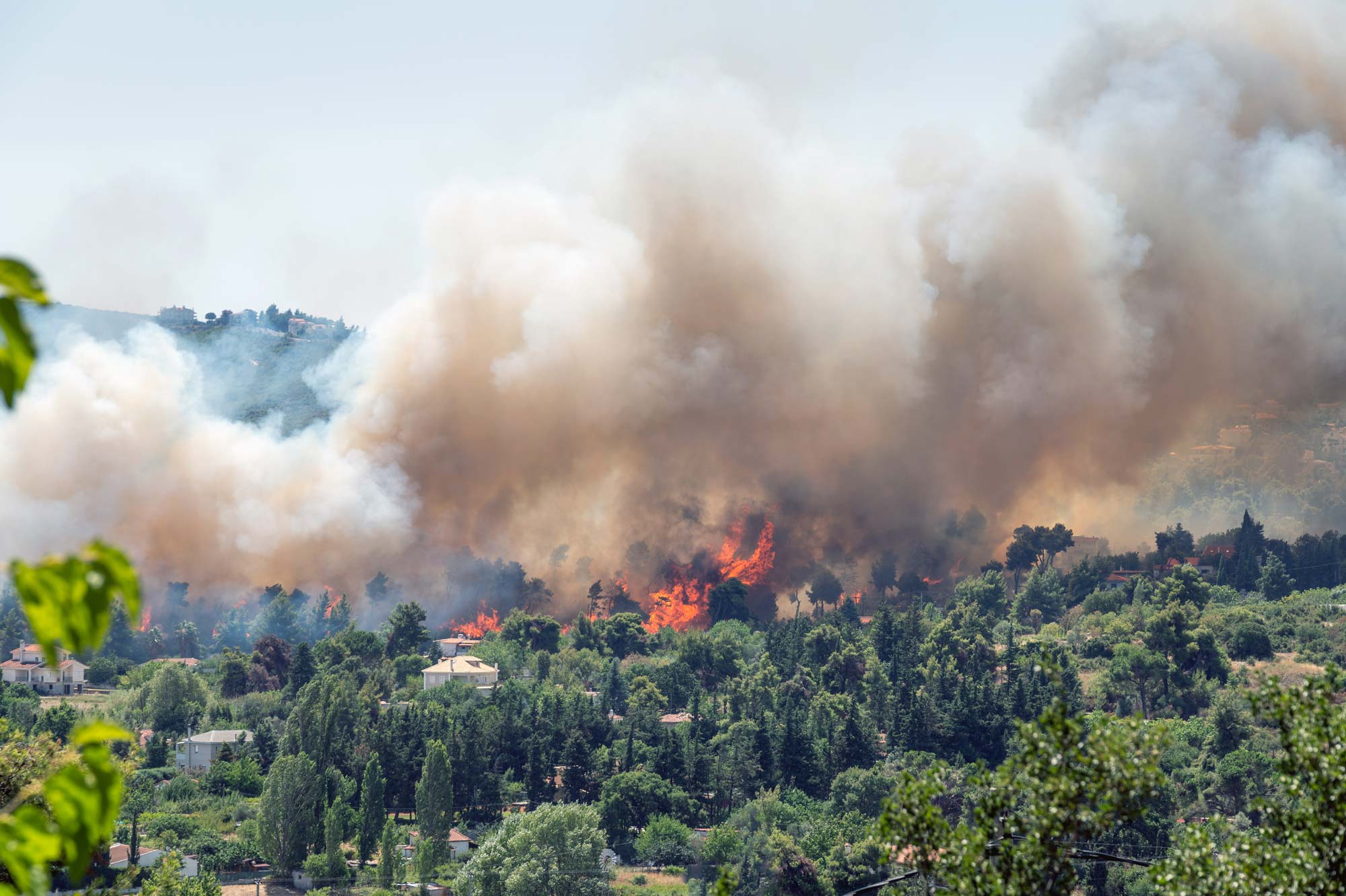 Flames-and-smoke-from-a-forest-fire-in-the-summer-hero