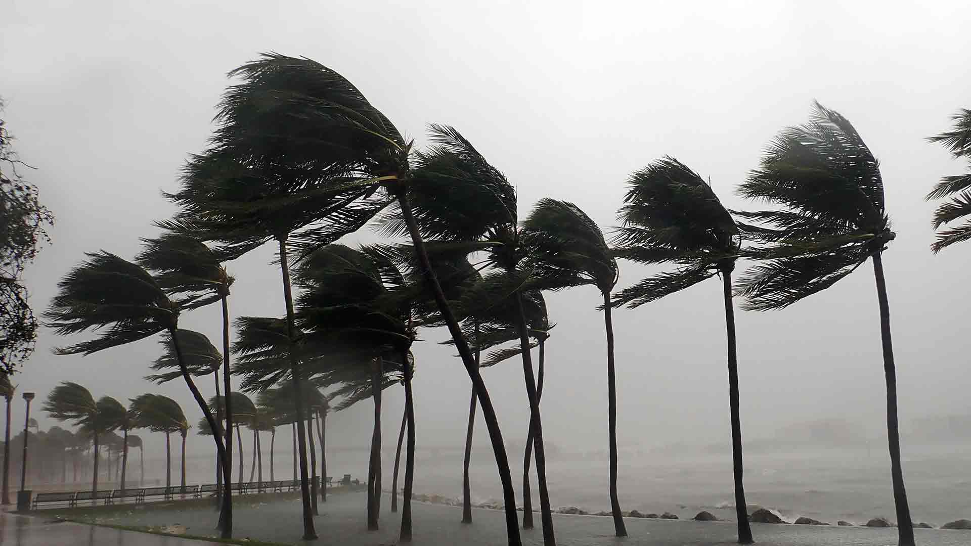 strong-hurricane