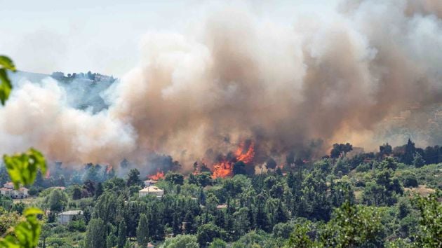 Flames And Smoke From A Forest Fire In The Summer 