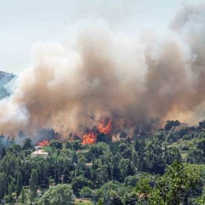 Flames And Smoke From A Forest Fire In The Summer 