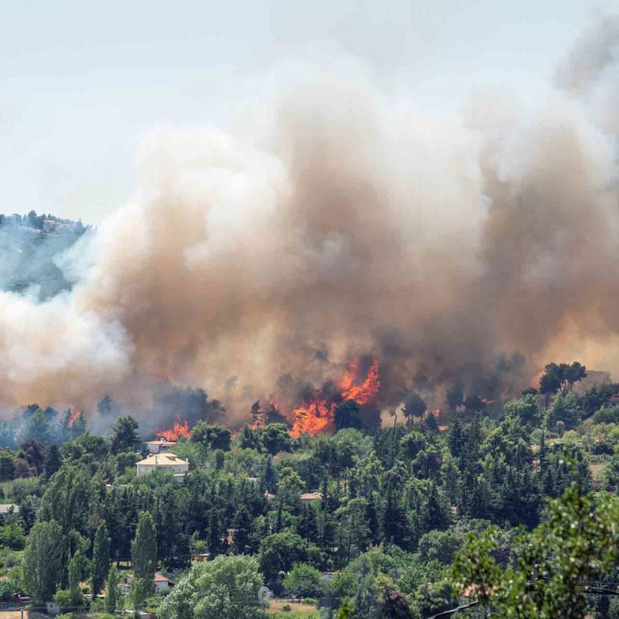 Flames And Smoke From A Forest Fire In The Summer 