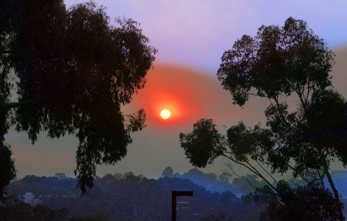 sun-in-hazy-sky-socal