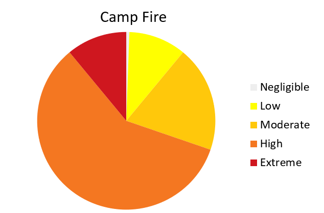 Camp Fire Pie Chart_11_12 (1)