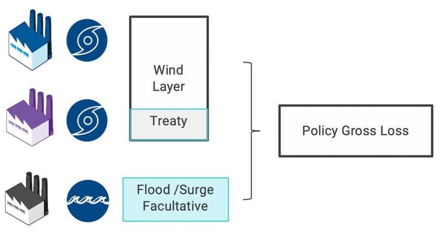 ngm_direct_facultative_treaty_fig13