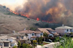 Wildfire