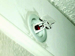 Sidewall Sprinkler
