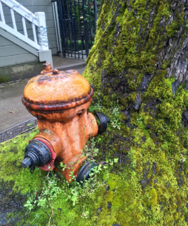 hydrant