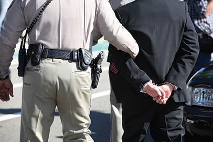 arrest fraud application integrity RISK:check point of sale