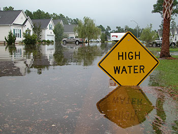 Flood BTL image
