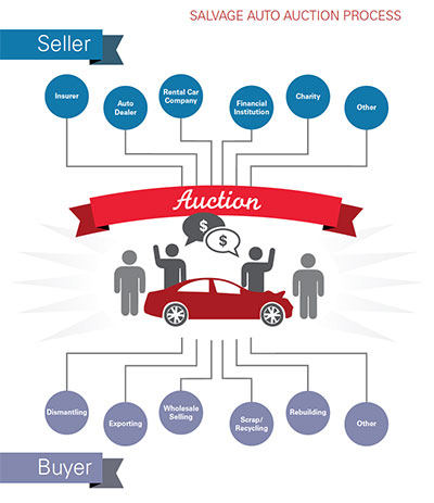 Salvage Auto Auction Process infographic Salvage Auto Auction Process infographic
