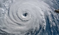 Benchmark Hurricane Report
